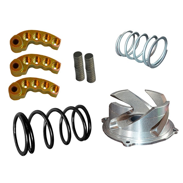 Straightline Clutch Kit with Adjustable Weight Steel