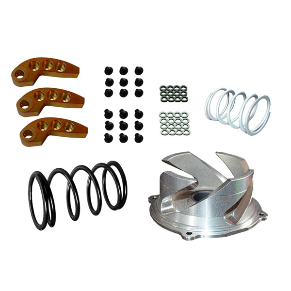 Straightline Clutch Kit with Adjustable Weight Steel