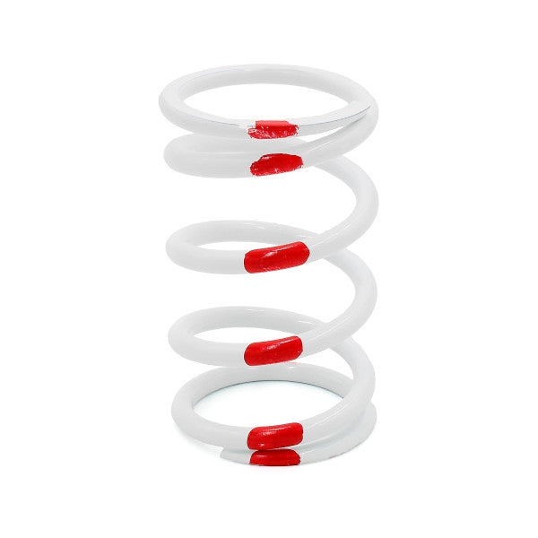 EPI Primary Clutch Spring (Drive)