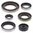 VertexWinderosa Oil Seal Sets Fits KTM - 404121