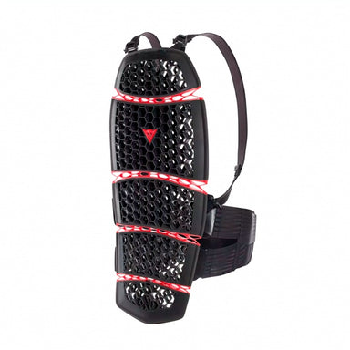 DAINESE Pro-Armor Back Protector 2.0