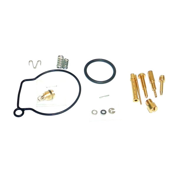 WSM Carburetor Kit Fits Polaris