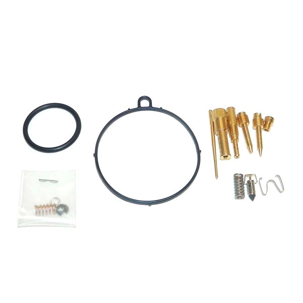 WSM Carburetor Kit Fits Polaris