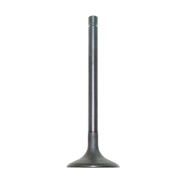 WSM Intake Valve Fits Yamaha