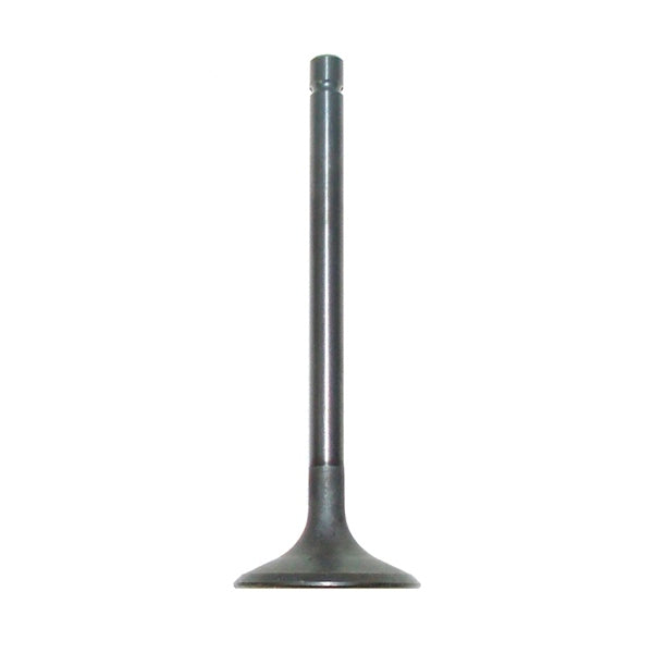 WSM Intake Valve Fits Yamaha
