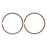 Wiseco Piston Ring Set Fits Polaris