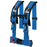 Dragonfire Racing 4 point 3" Harness Blue by Alpine Powersports
