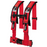 Dragonfire Racing 4 point 3" Harness Red by Alpine Powersports