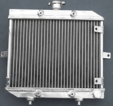 Honda Rubicon Radiator | Alpine Powersports